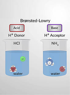Bronsted-Lowry Acids and Bases