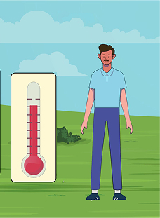 What is Homeostasis?