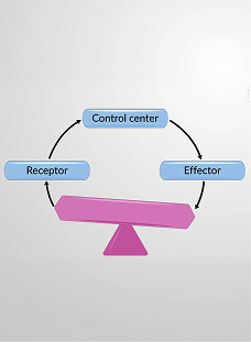 Homeostatic Imbalance