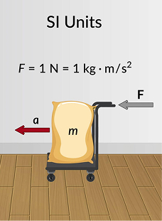 Units of Measurement
