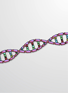 The DNA Helix