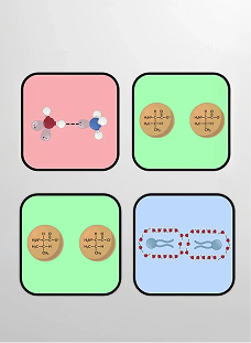 Noncovalent Attractions in Biomolecules