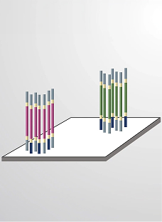 Next-generation Sequencing