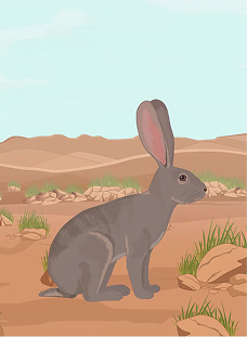 Characteristics of Life